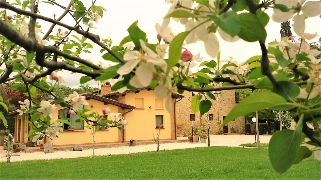 Agriturismo Il Podere Petrignano Exterior foto