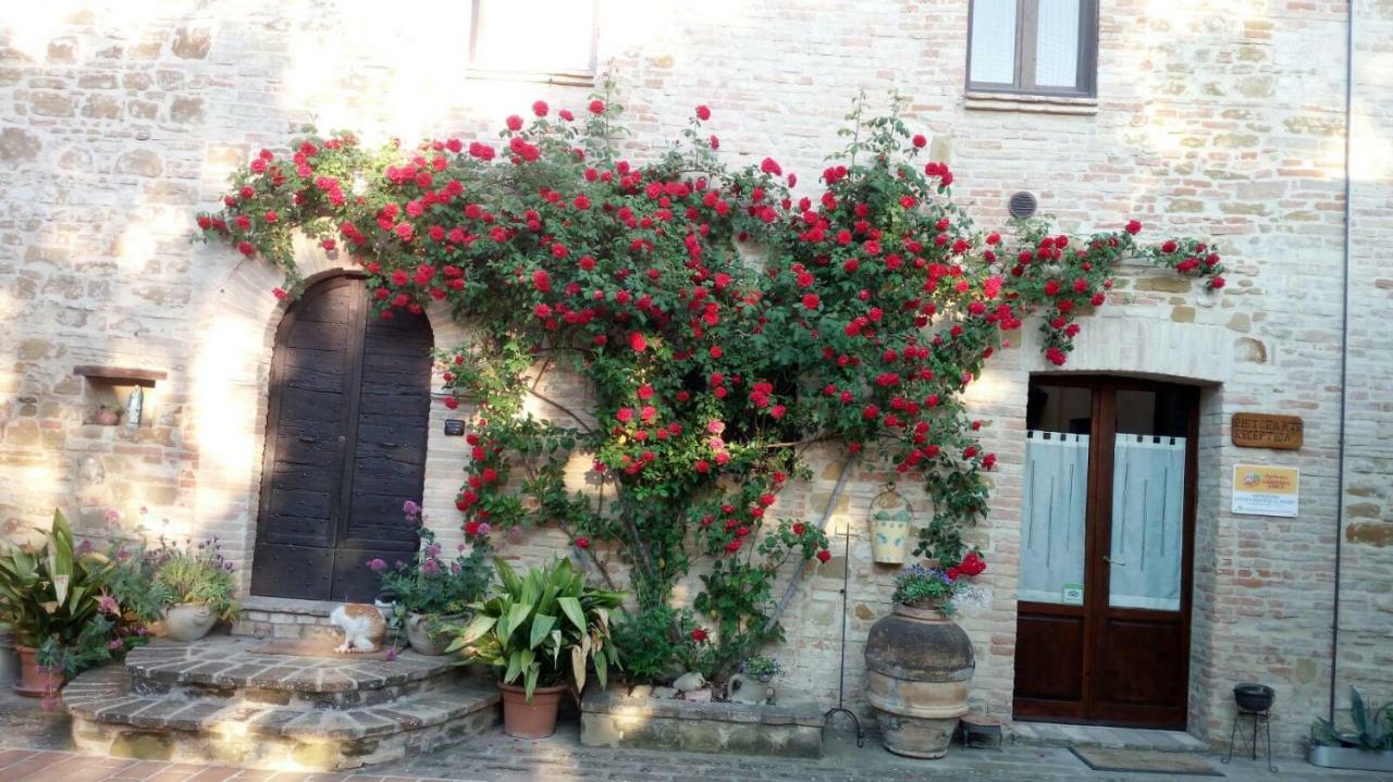 Agriturismo Il Podere Petrignano Exterior foto